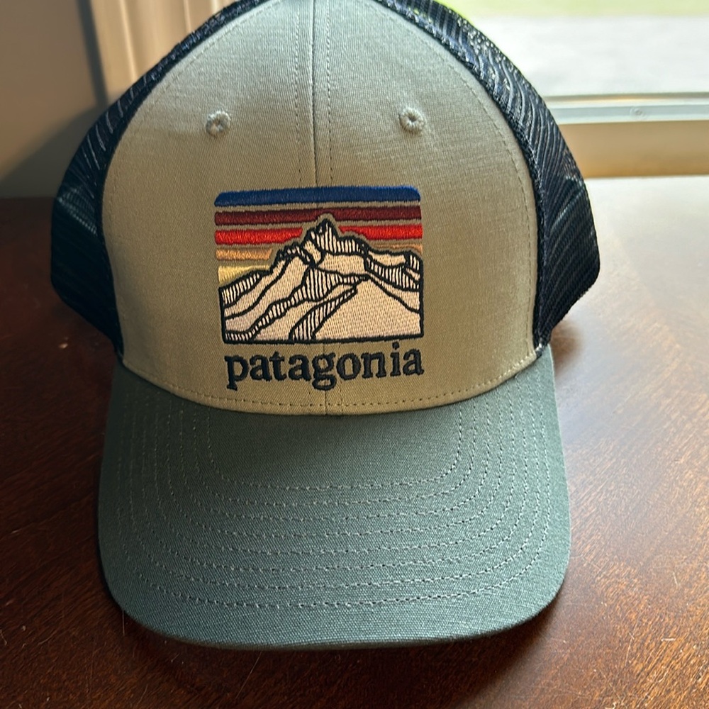 Patagonia Trucker hat